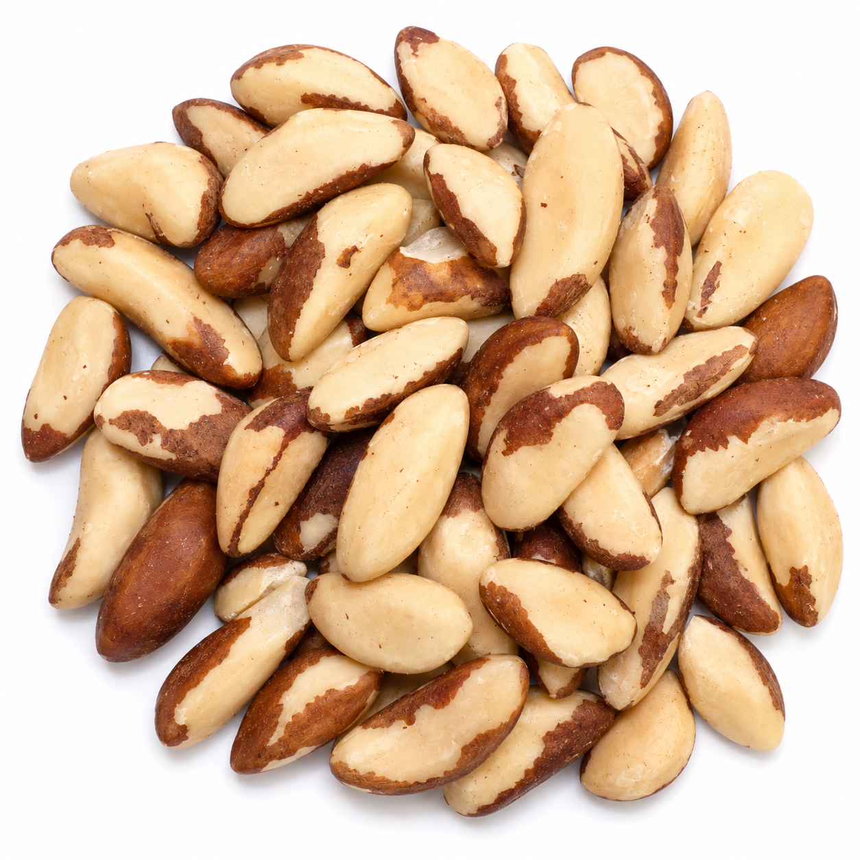 Amazon Gold Brazil Nuts
