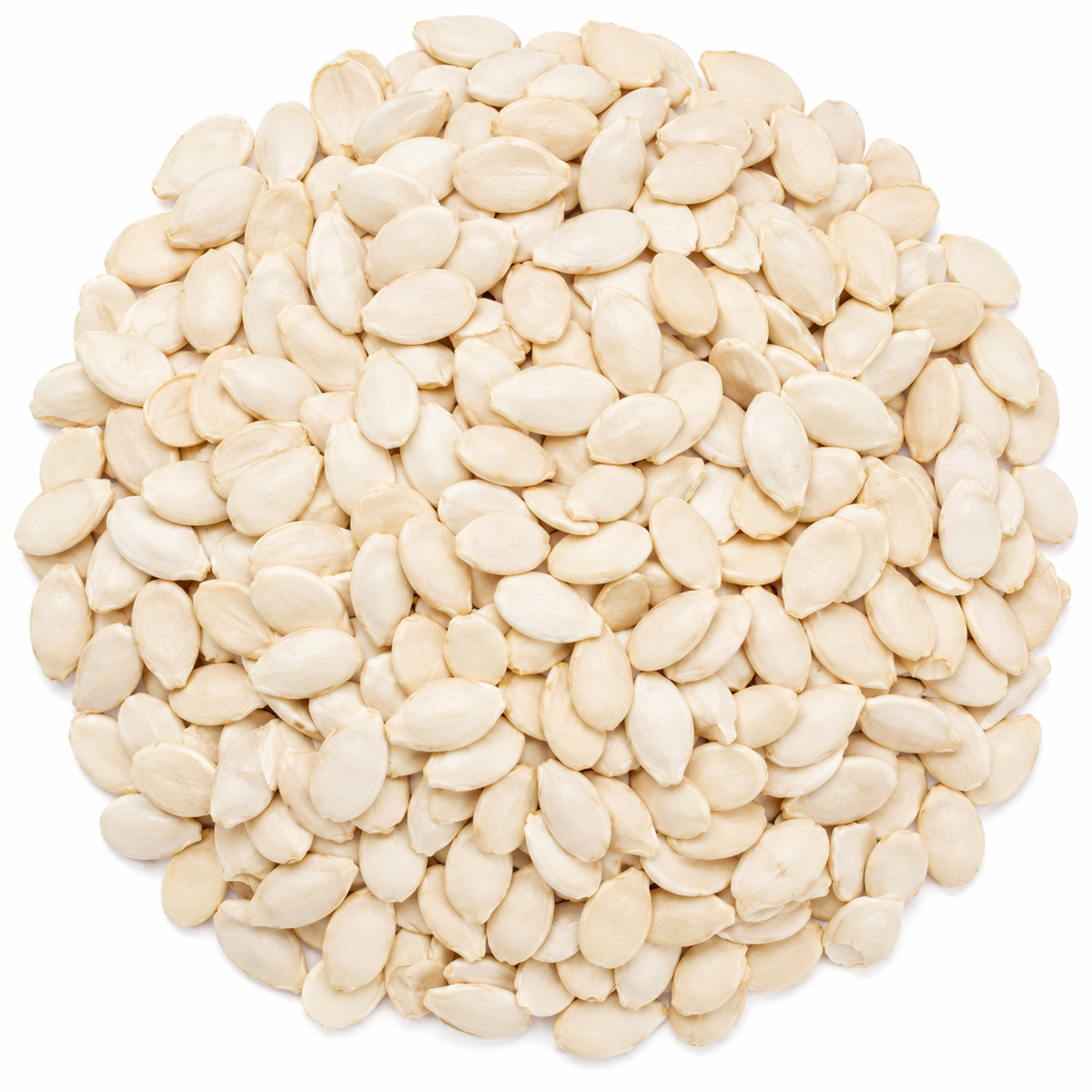 Premium Watermelon Seeds